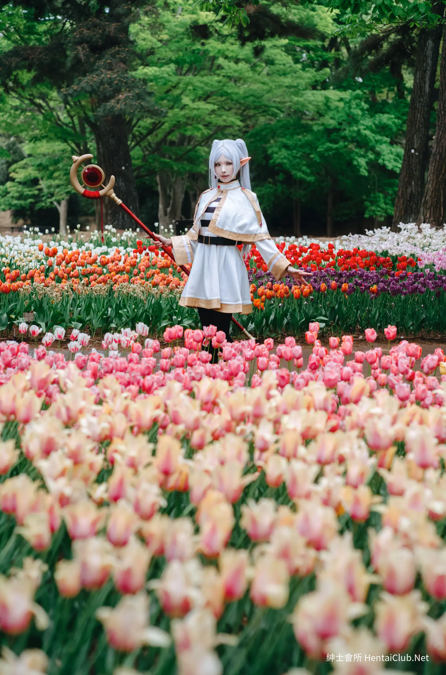 Elyee 202606 Set A Frieren in the Flower Sea 花海芙莉蓮 48 Elyee 202606 Set A Frieren in the Flower Sea 花海芙莉蓮