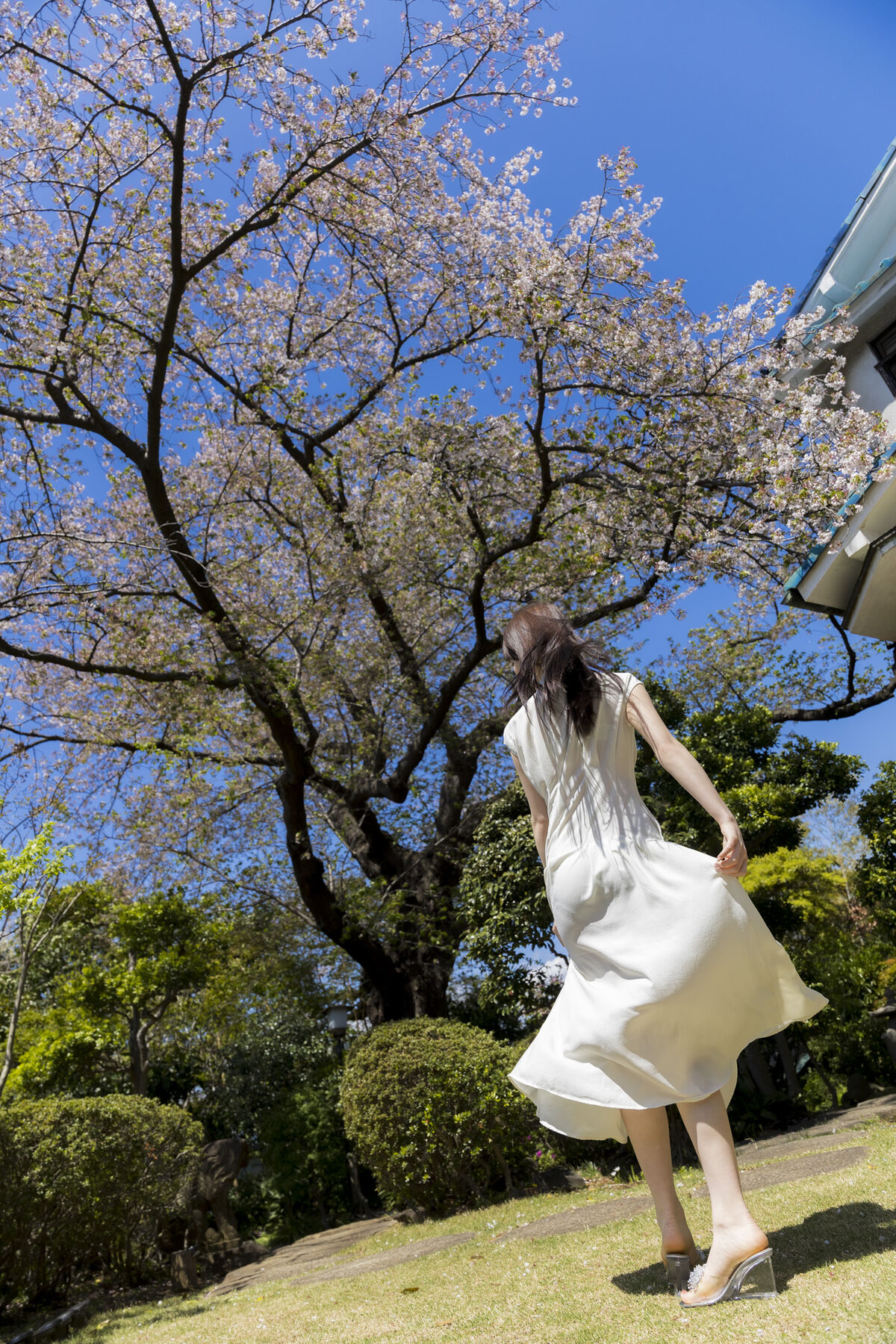 JP Emika Shirakami 白上咲花 - 写真集 百花繚乱 Part02 49 JP Emika Shirakami 白上咲花 - 写真集 百花繚乱 Part02