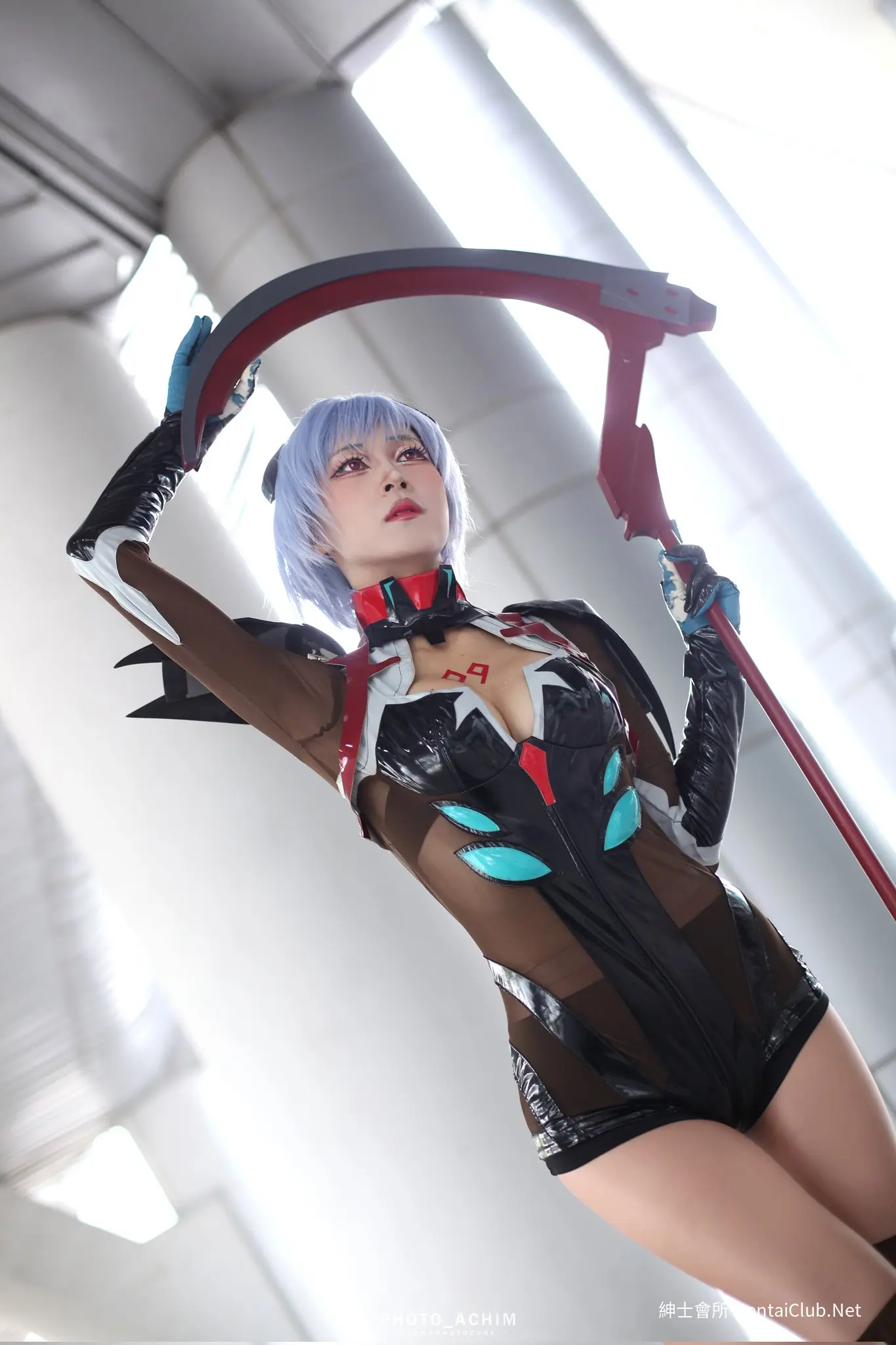 Rosa 로사 Rei
