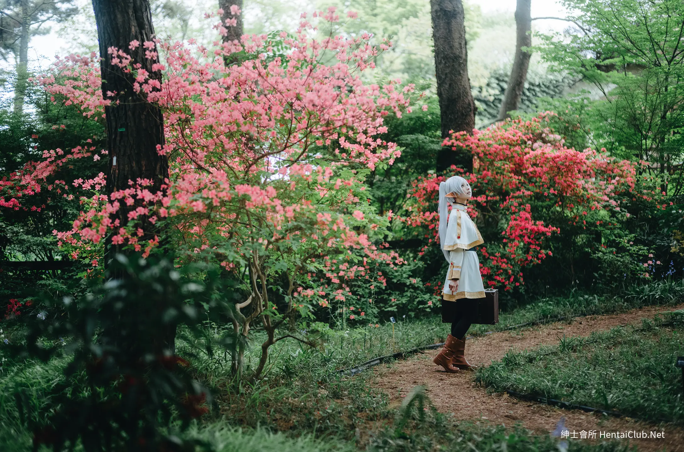 Elyee 202606 Set A Frieren in the Flower Sea 花海芙莉蓮 57 Elyee 202606 Set A Frieren in the Flower Sea 花海芙莉蓮