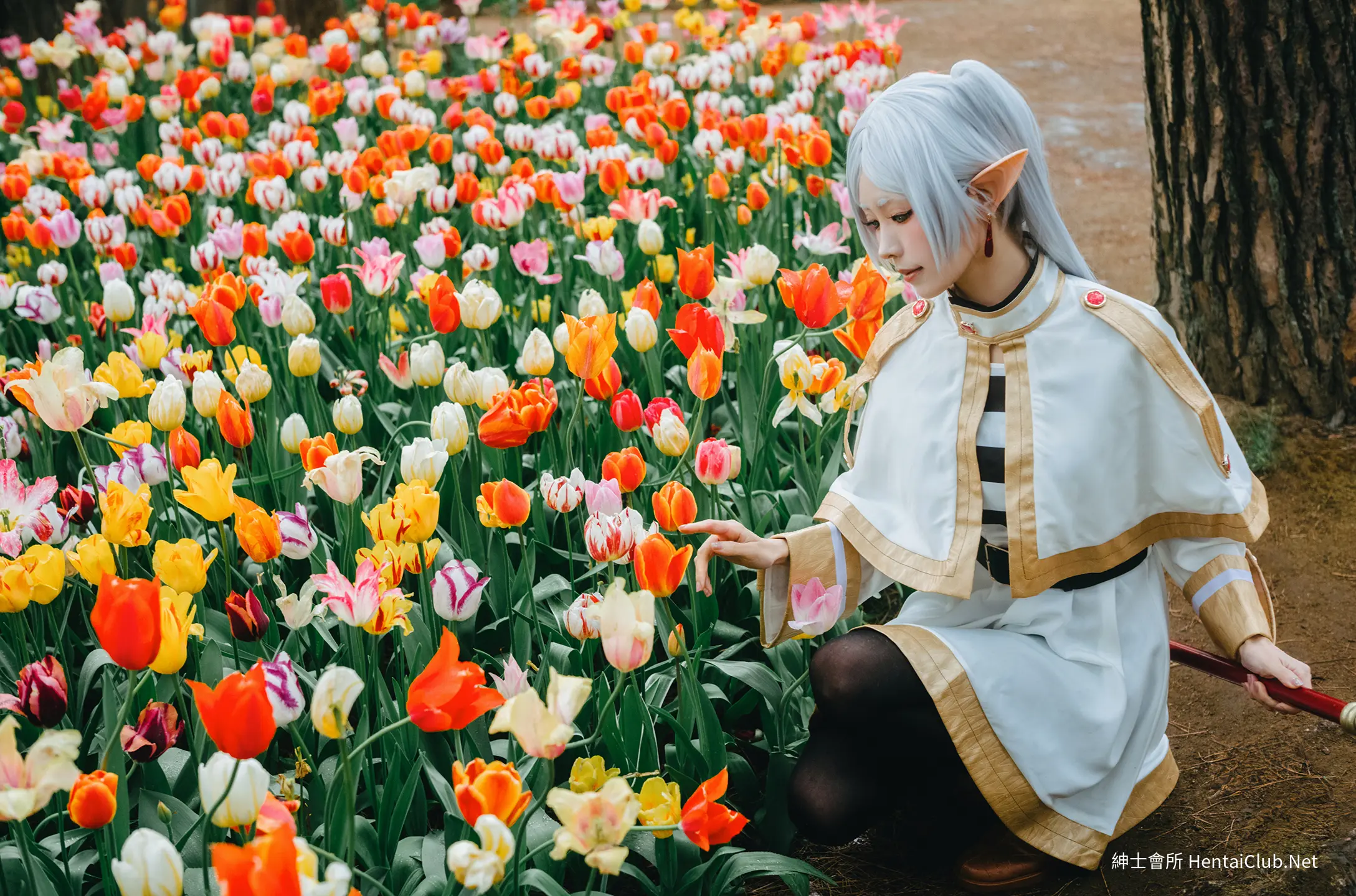 Elyee 202606 Set A Frieren in the Flower Sea 花海芙莉蓮 60 Elyee 202606 Set A Frieren in the Flower Sea 花海芙莉蓮